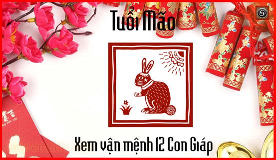 Xem bói tử vi tuổi Mão | Tử Vi Cổ Học