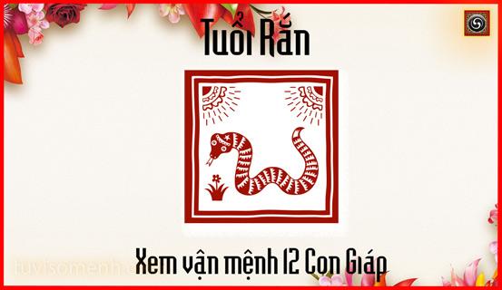 Xem bói tử vi tuổi Tỵ | Tử Vi Cổ Học