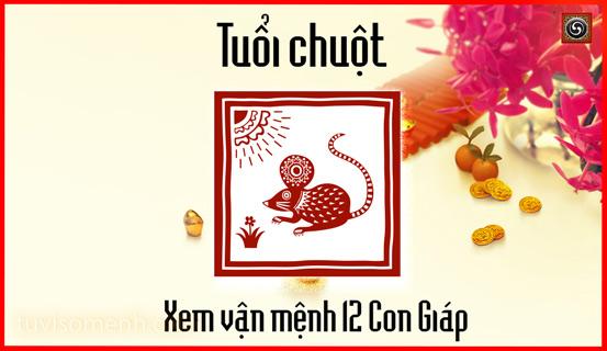 Vận trình tử vi trọn đời Nhâm Tý nam mang chi tiết | Tử Vi Cổ Học