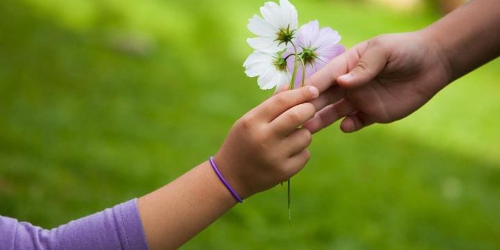 Xem tướng tay của người có quý nhân phù trợ | Tử Vi Cổ Học