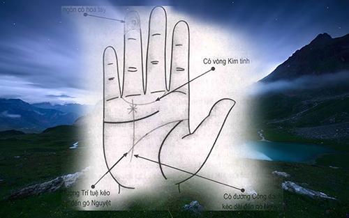Xem bói tay,bàn tay người có khả năng sáng tạo | Tử Vi Cổ Học