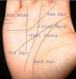 Xem bói qua bàn tay (Phần 1) | Tử Vi Cổ Học