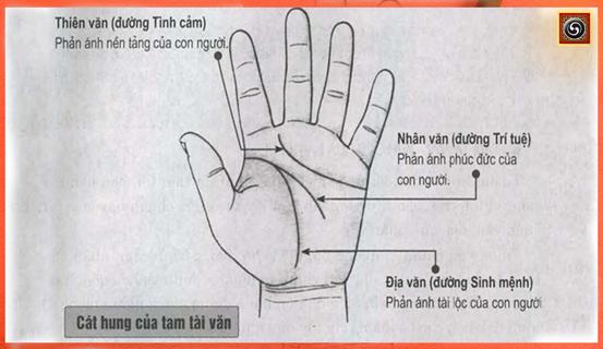 Xem bói chỉ tay, Tam tài vân, đỉnh cao của danh lợi | Tử Vi Cổ Học