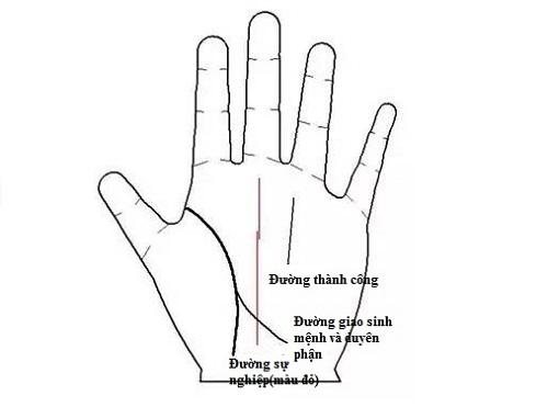 Nét tướng tay báo hiệu chủ nhân vượng vận đào hoa cả đời | Tử Vi Cổ Học