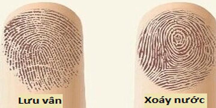 Hướng dẫn nhận biết các loại vân tay và ý nghĩa của chúng | Tử Vi Cổ Học