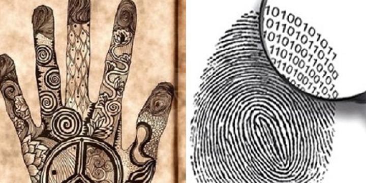 Từ số lượng hoa tay có thể biết được vận mệnh | Tử Vi Cổ Học