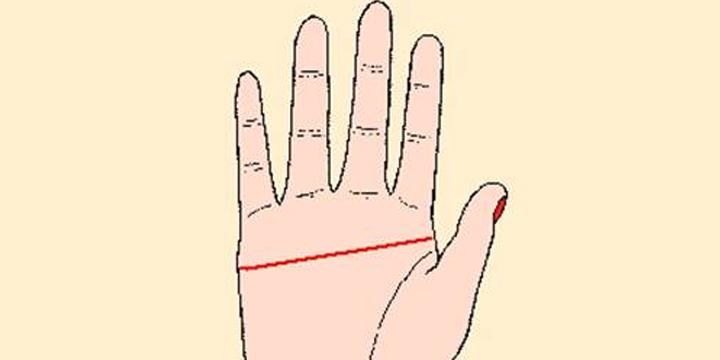 Nam giới có chỉ tay ngang có ý nghĩa gì? | Tử Vi Cổ Học