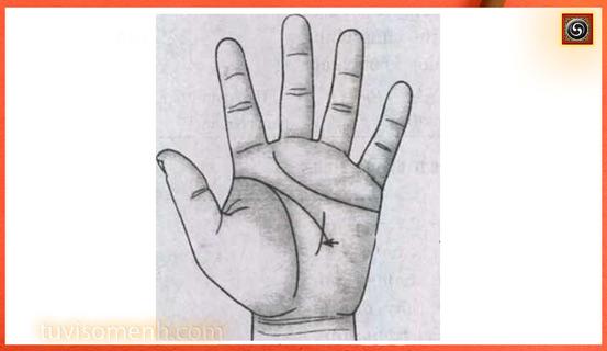 Xem bói Tình duyên trên bàn tay của bạn | Tử Vi Cổ Học