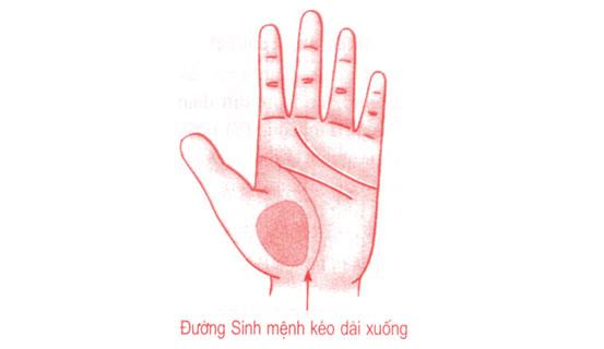 Xem bói tình yêu và tính cách qua tướng tay nam giới | Tử Vi Cổ Học