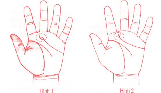 Xem bói bàn tay để thấy được nhân duyên đẹp | Tử Vi Cổ Học