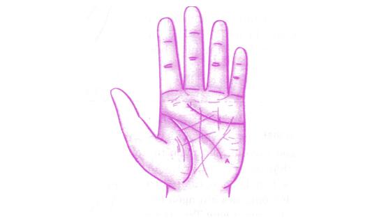 Xem bói tình yêu và tính cách qua tướng tay nữ giới | Tử Vi Cổ Học