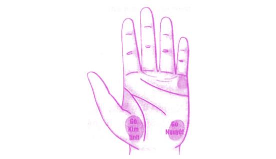 Xem bói tình yêu và tính cách qua tướng tay nữ giới | Tử Vi Cổ Học
