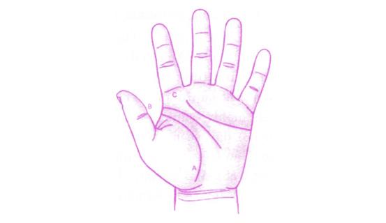 Xem bói tình yêu và tính cách qua tướng tay nữ giới | Tử Vi Cổ Học