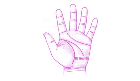 Xem bói tình yêu và tính cách qua tướng tay nữ giới | Tử Vi Cổ Học