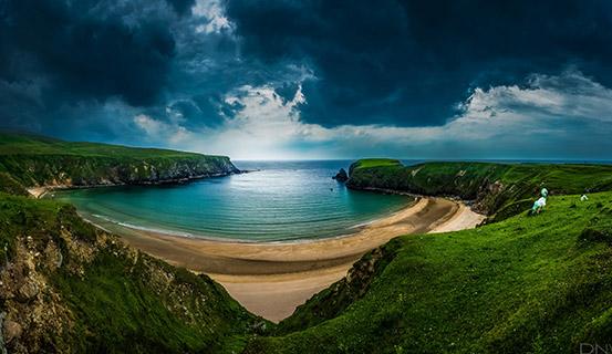 Tử vi trọn đời 2014 Giáp Tuất (nam) | Tử Vi Cổ Học