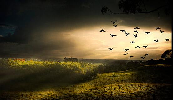 Tử vi trọn đời 2014 Tân Dậu (nam) | Tử Vi Cổ Học