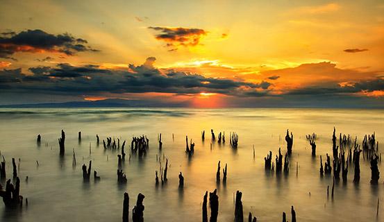 Tử vi trọn đời 2014 Tân Dậu (nữ) | Tử Vi Cổ Học