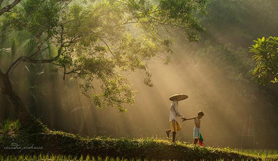 Tử vi trọn đời 2014 Tân Mùi (nam) | Tử Vi Cổ Học