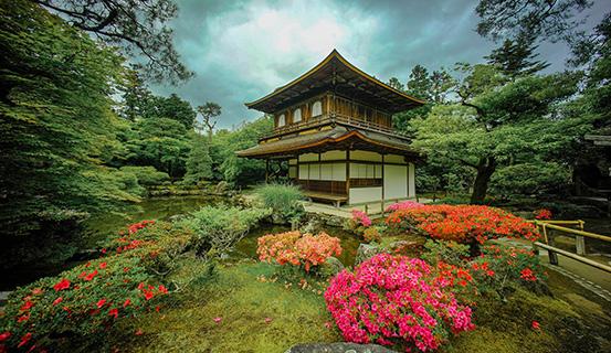 Tử vi trọn đời 2014 Nhâm Thìn (nam) | Tử Vi Cổ Học