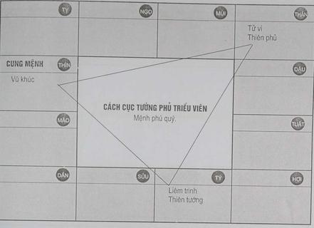 Phân tích sao Thiên phủ trong lá số Tử vi | Tử Vi Cổ Học