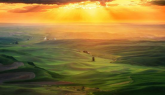 Tử vi trọn đời 2014 Tân Mão (nam) | Tử Vi Cổ Học