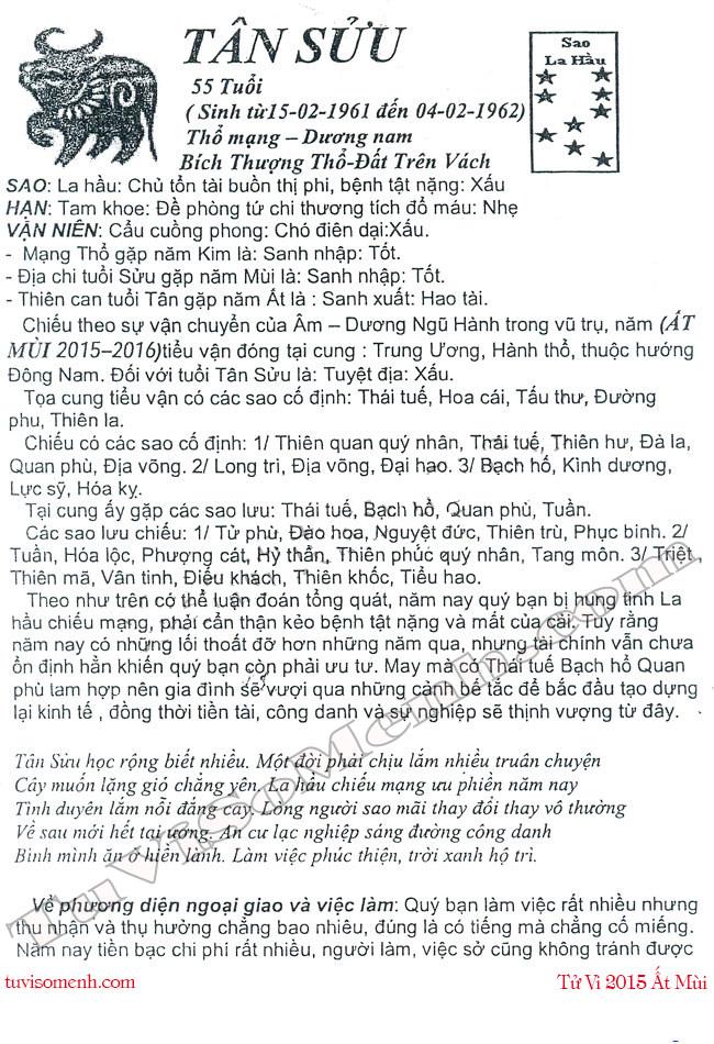Tử vi 2015 tuổi Tân Sửu nam mạng chi tiết | Tử Vi Cổ Học