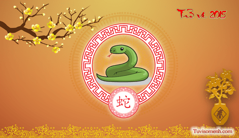 Tử vi 2015 tuổi Tị sơ lược | Tử Vi Cổ Học