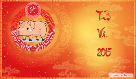 Tử vi 2015 tuổi Hợi sơ lược | Tử Vi Cổ Học