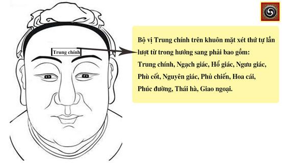 Có phải lông mày dài có tướng làm quan? | Tử Vi Cổ Học