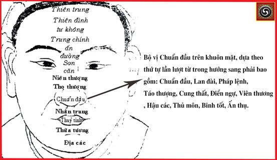 Xem tướng mặt người tuổi thọ cao | Tử Vi Cổ Học