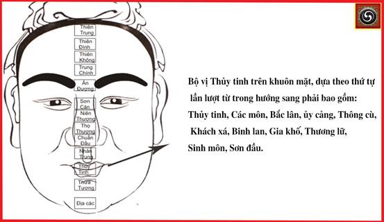 Bạn sẽ biết mình kinh doanh như thế nào. | Tử Vi Cổ Học