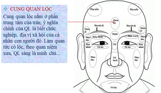 Xem tướng mặt ở Cung Quan lộc | Tử Vi Cổ Học
