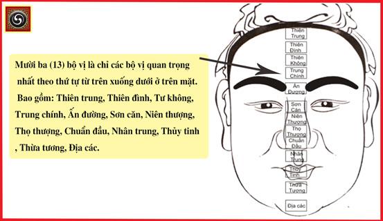 Xem tướng qua 13 bộ vị khuôn mặt | Tử Vi Cổ Học