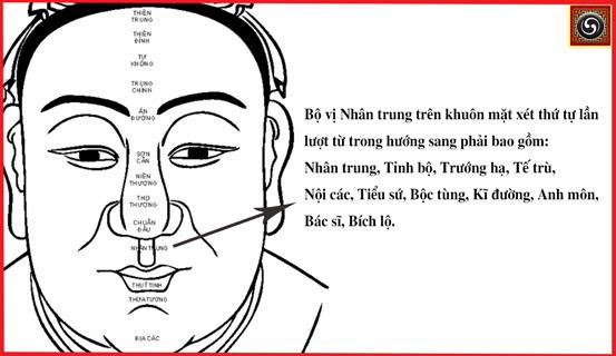 Xem tướng mặt bộ vị nào để biết tuổi thọ dài ngắn | Tử Vi Cổ Học