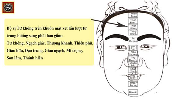 Không được làm quan nếu khuôn mặt có đặc điểm này. | Tử Vi Cổ Học